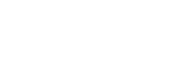 Elite Logística